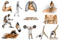 Single part of a gym exercise